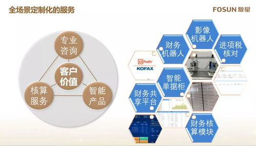 复星智慧财务新实践 科技创新驱动下的财务共享中心三大核心特点与信息系统运维